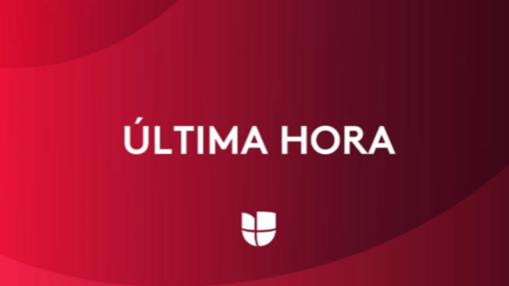 cuales son las ultimas novedades sobre noticias vivo