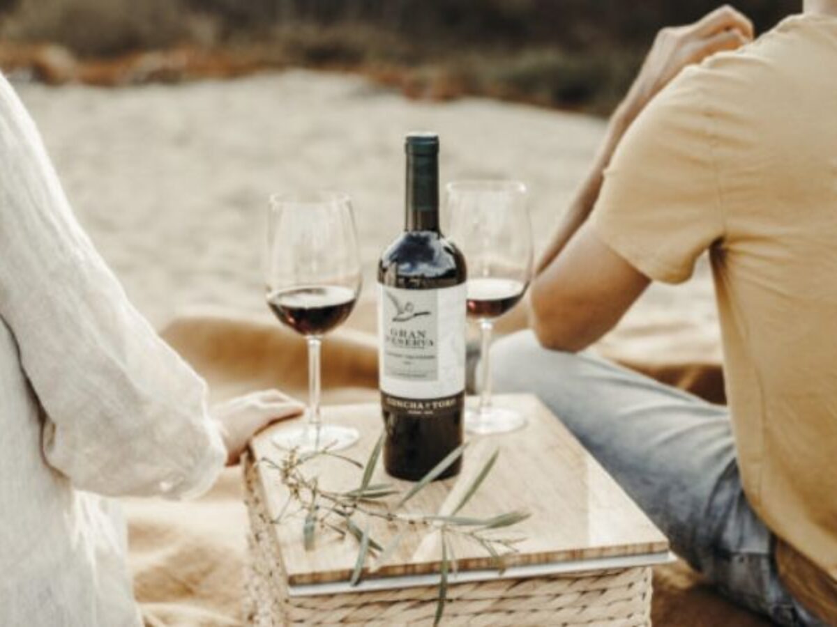 mejores vinos tintos una guia completa para conocedores y novatos