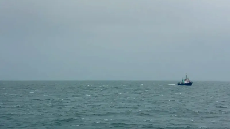 Un buque de investigación avista una ballena