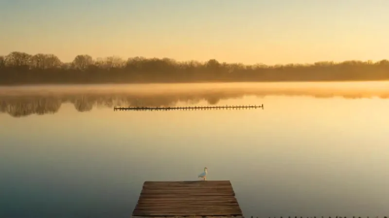 Amanecer solitario en un lago sereno