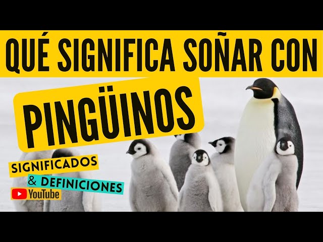 sonar con pinguinos su significado y mensajes ocultos
