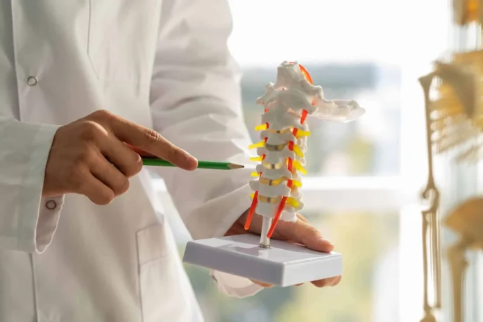 Sedentarismo y salud de la columna.