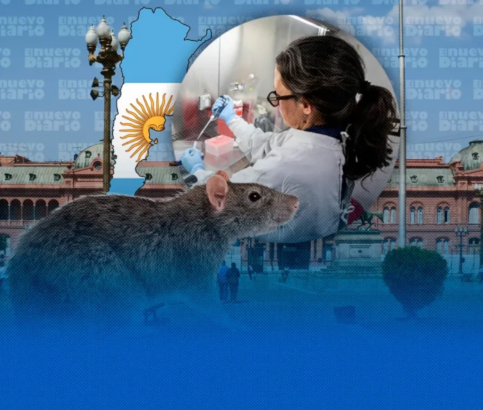 Biólogos investigan hantavirus en Ushuaia.