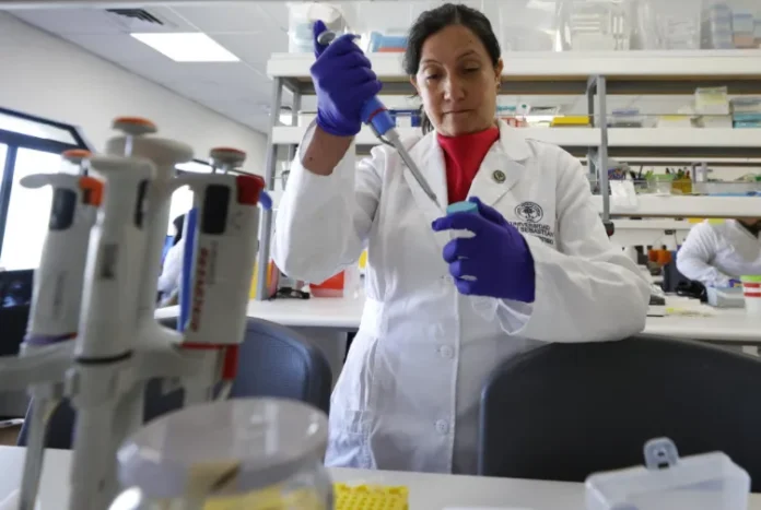 Científicos chilenos desarrollan vacuna contra hantavirus