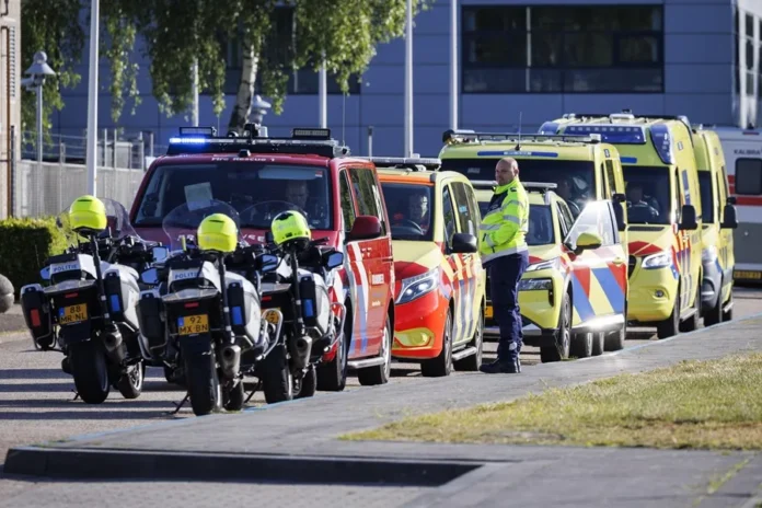Tercer británico con síntomas de hantavirus