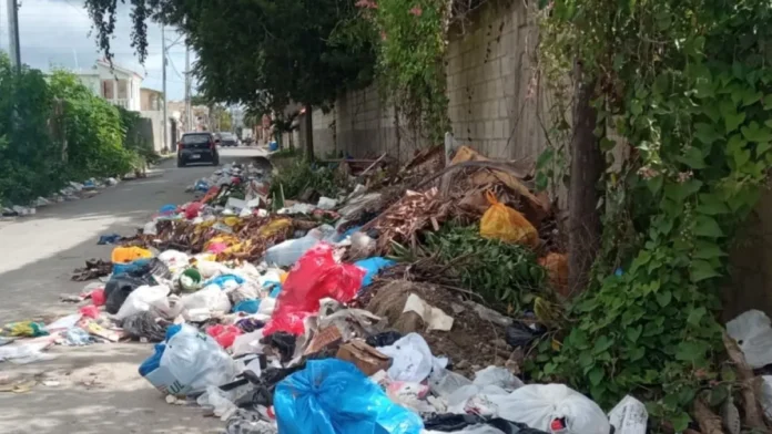 Crisis de residuos plásticos en San Pedro.