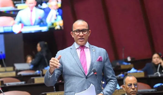 Carolina Mejía, fuerte candidata del PRM.