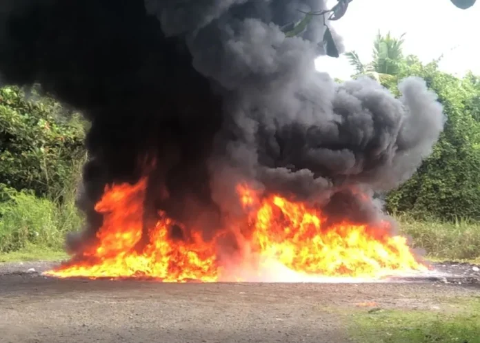 Inacif destruye drogas en Santo Domingo.