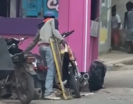 Indignación por video de gato muerto.
