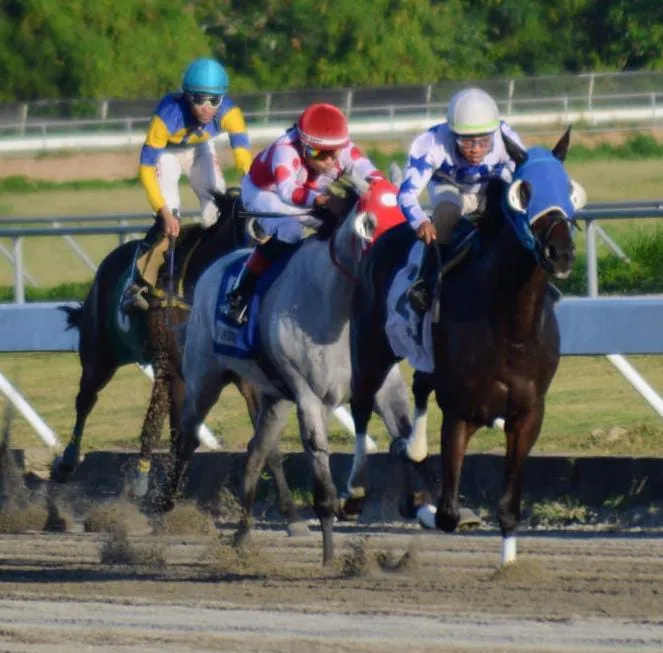 Peleas intensas en el Hipódromo Quinto Centenario