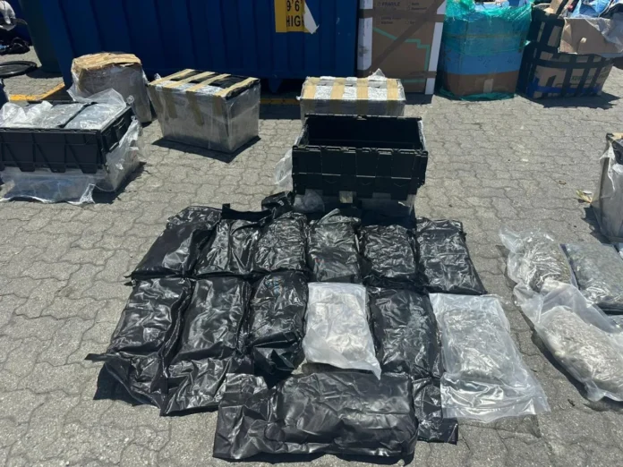 Paquetes de marihuana decomisados en Puerto Haina