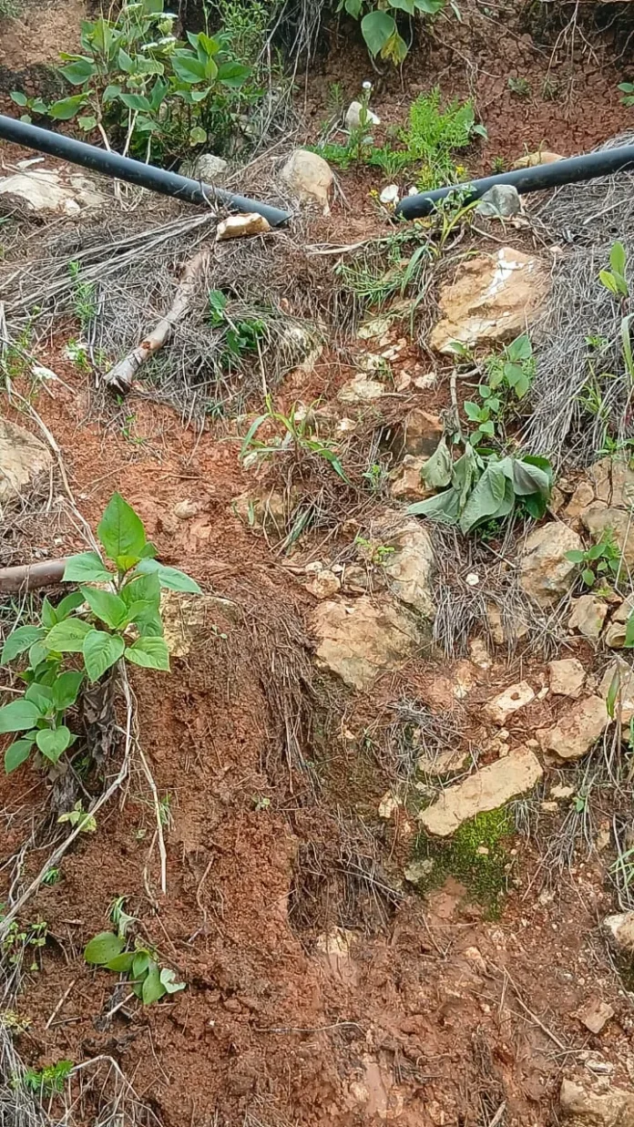 Alcalde condena corte de agua en Cañitas