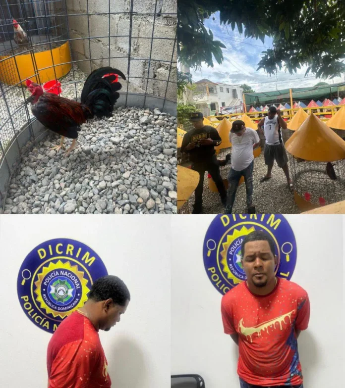 Hombre arrestado por robo de aves en Santiago