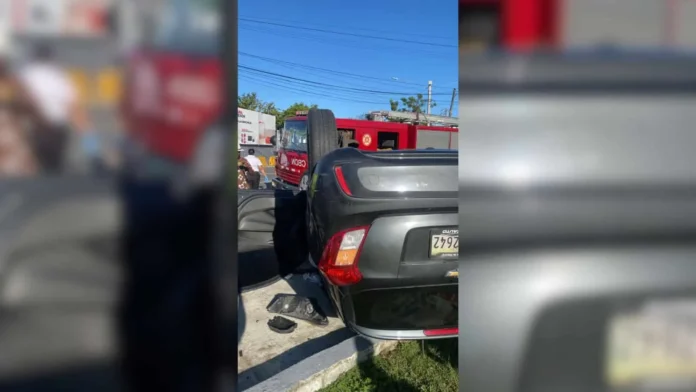 Yipeta volcada en rotonda del Jardín Botánico