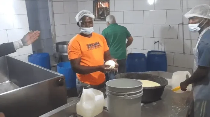 Clausura de fábrica de quesos en Santiago