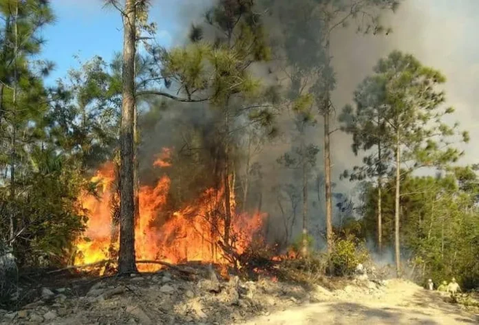 Incendios severos globales en 2026.