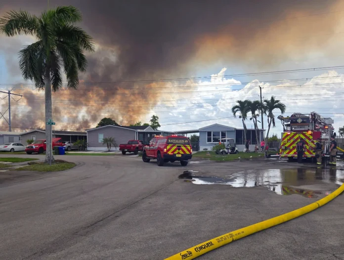 Incendios devastan los Everglades en Florida