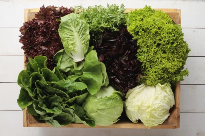 Lechuga: salud y cocina diaria mejorada
