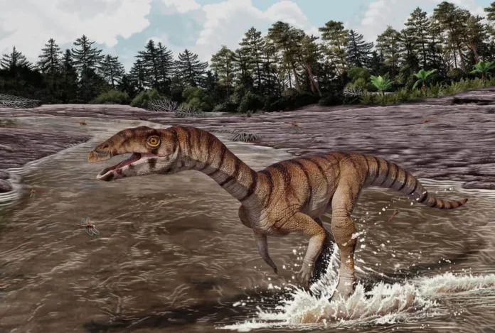 Labrujasuchus expectatus, nuevo pariente bípedo del cocodrilo.