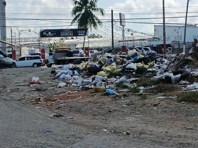 Basura acumulada en Residencial Doña Idalia.