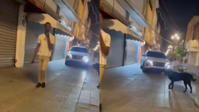 Digesett retiene yipeta en El Conde
