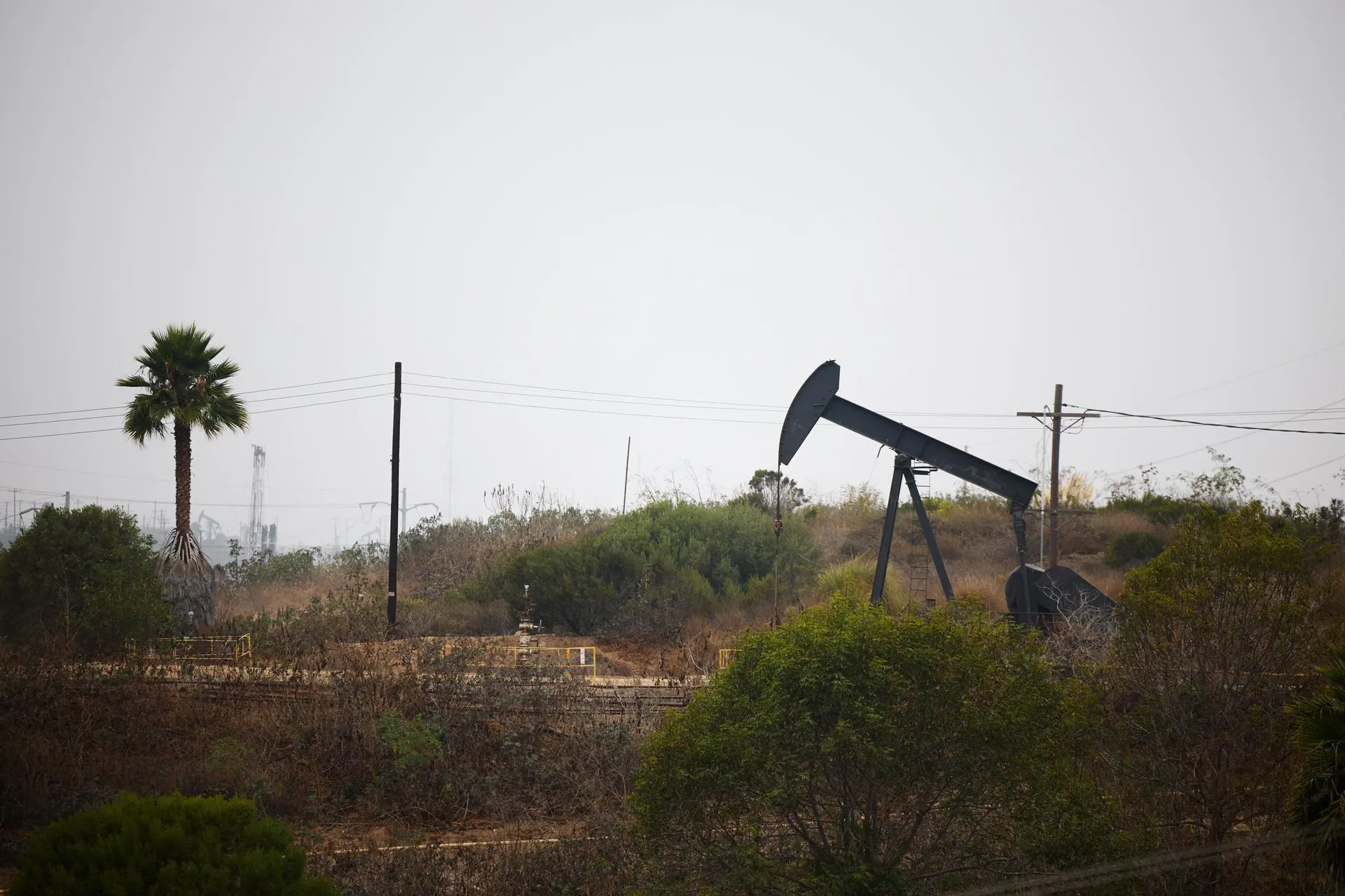 Petróleo de Texas alcanza 71,92 dólares.