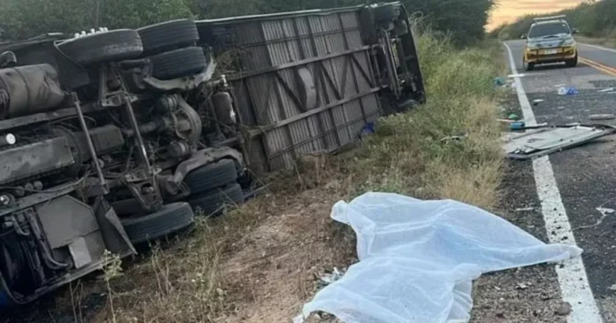 Accidente de autobús en Brasil, siete muertos.