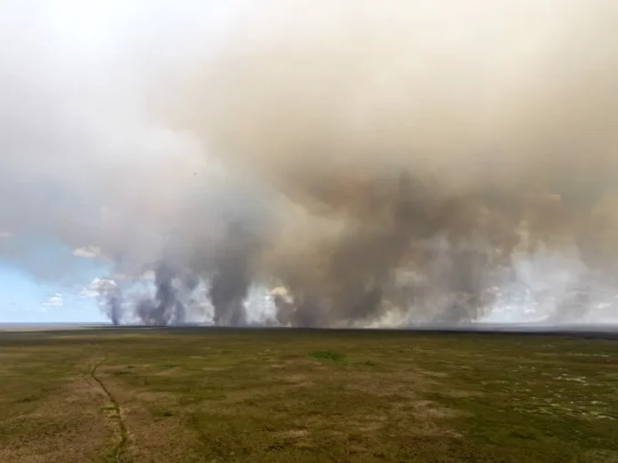 Incendio en los Everglades consume 180 acres.
