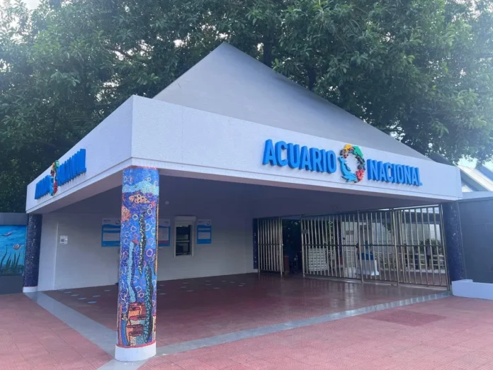 Campamento de verano para hijos de periodistas