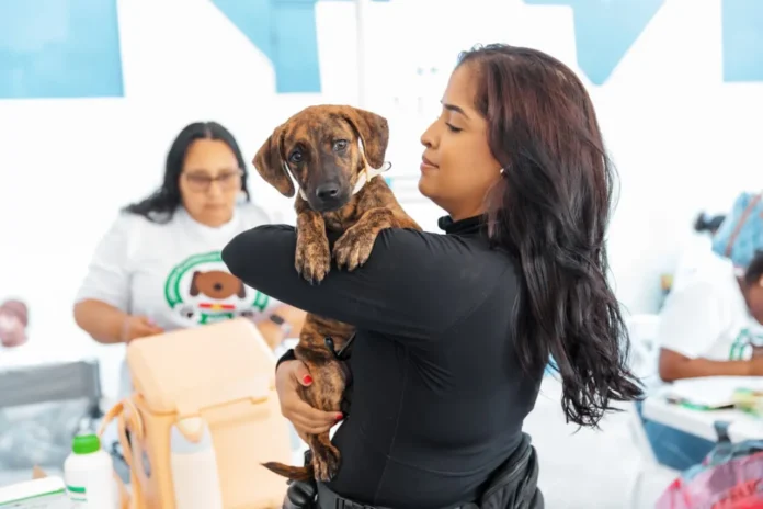 Esterilización gratuita de mascotas en jornada.