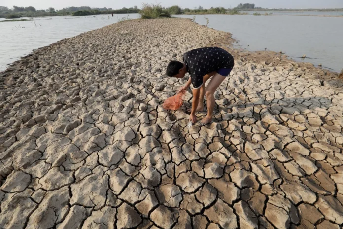 Blanqueamiento de corales por 'El Niño
