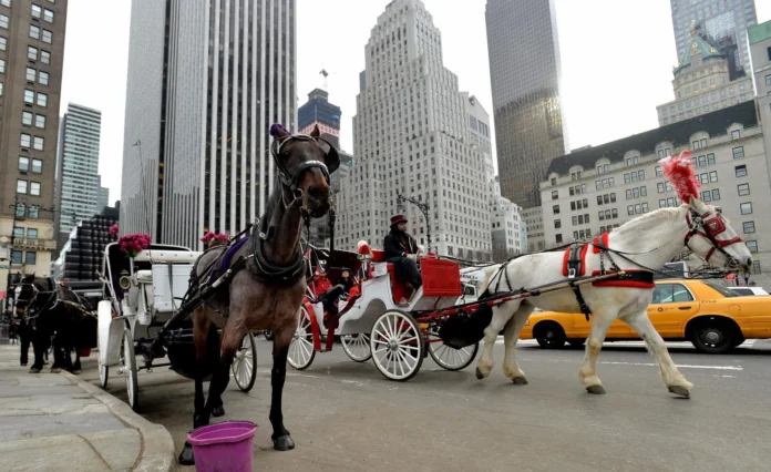 Paseos en carruajes reanudados en Nueva York.