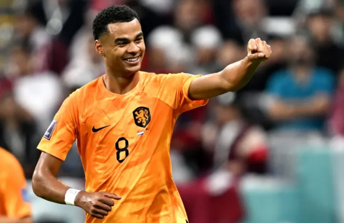 Gakpo celebra su gol decisivo ante Uzbekistán