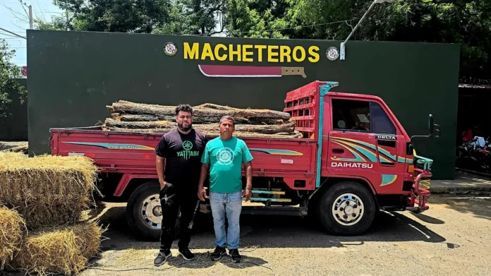 Ejército retiene camión con postes de cambrón