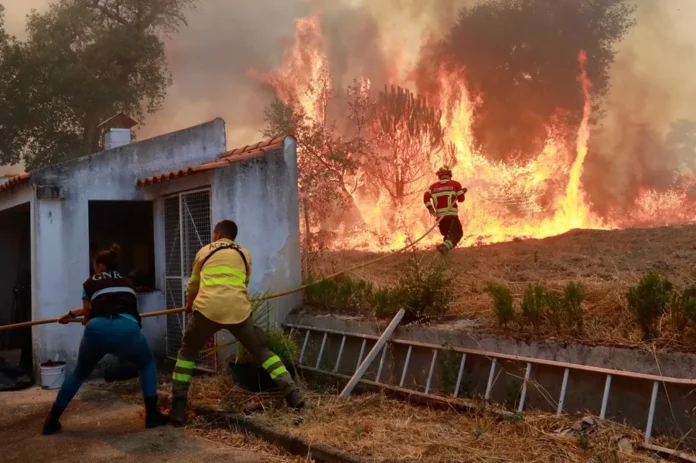 Incendio forestal controlado en Portugal.