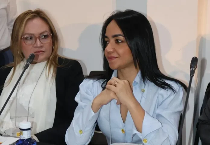 Ministra Raful en foro sobre migración.