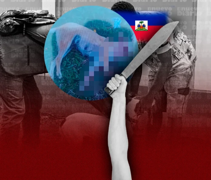 Indignación por muerte de perra en Manabao
