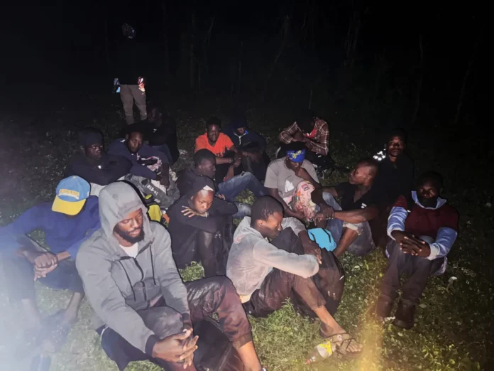 Ejército detiene haitianos indocumentados en RD