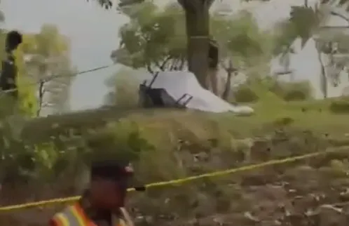 Cadáver encontrado debajo de un árbol.