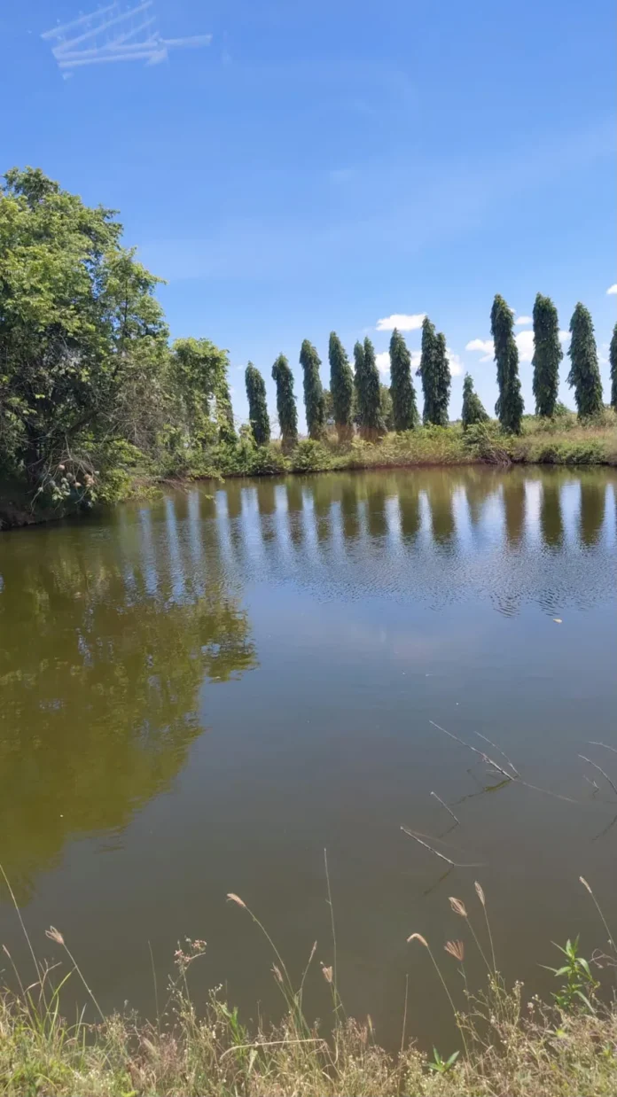 Hombre de 29 años hallado muerto en canal.