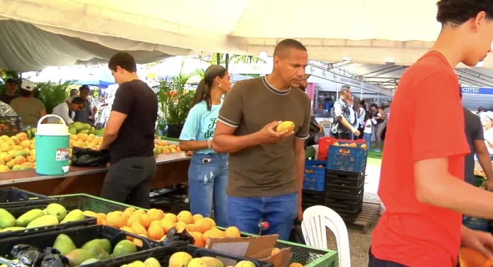 Expo Mango 2026: Procesamiento para reducir pérdidas