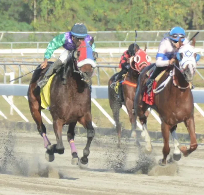 Clásico Ramón Matías Mella en el Hipódromo