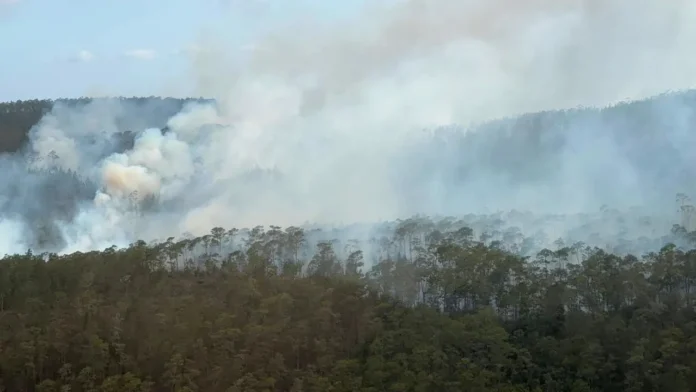 Incendio forestal en Sierra de Bahoruco.