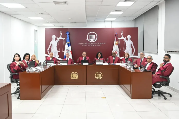 Tribunal Constitucional escucha 21 acciones inconstitucionales