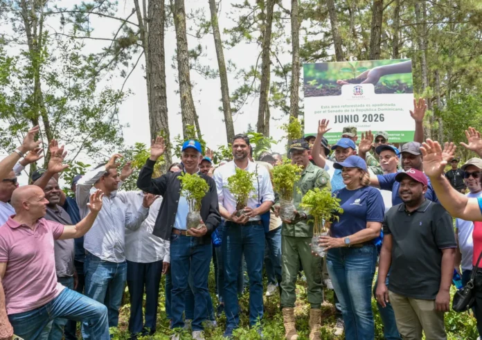 Reforestación en cuenca alta del río Nizao