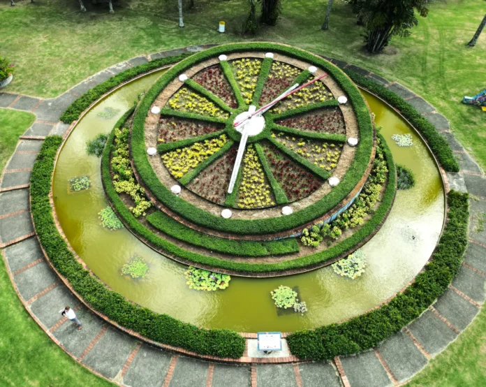 Día del Medioambiente en Jardín Botánico