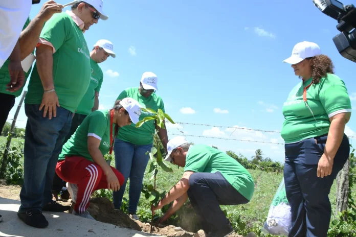 Siembra de árboles en Ciudad Juan Bosch