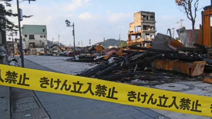 Terremoto de 6,9 en Japón y Tokio