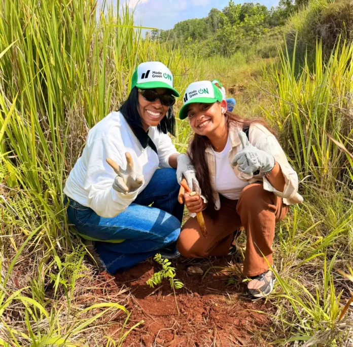 JMMB siembra árboles por sostenibilidad en Loma Guaigüí.