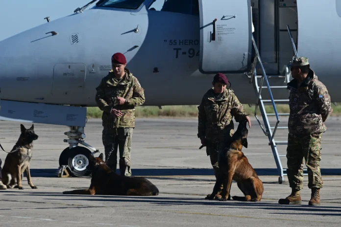 Brigadistas argentinos y perros de rescate.